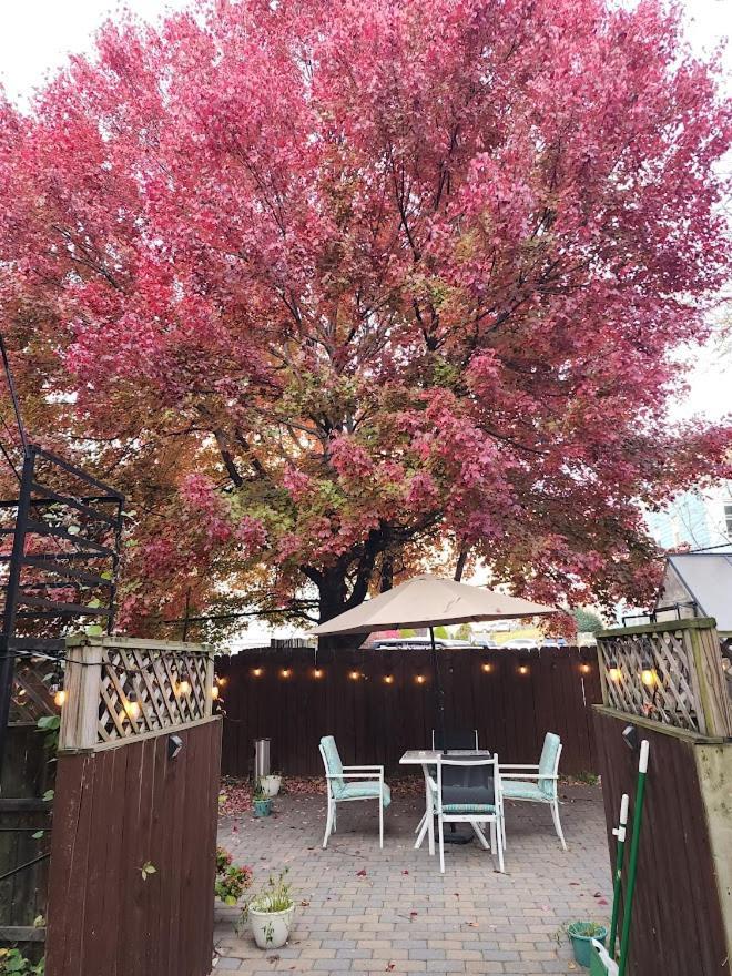 Magnolia Stay Near New York City เจอร์ซีย์ซิตี้ ภายนอก รูปภาพ